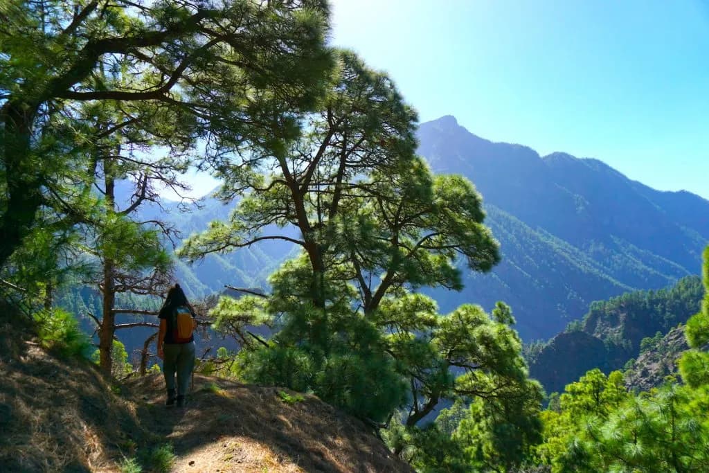 La isla más bonita de las Canarias: La Palma y su belleza natural