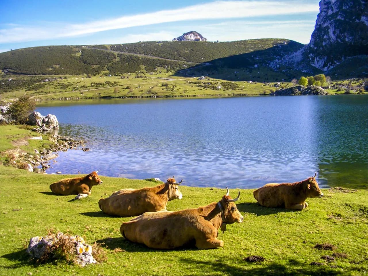 Cómo visitar los lagos de Covadonga desde Cangas de Onís sin complicaciones